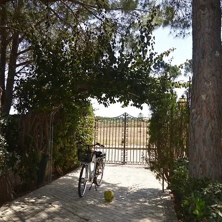 Bea Bed & Breakfast San Vito Lo Capo
